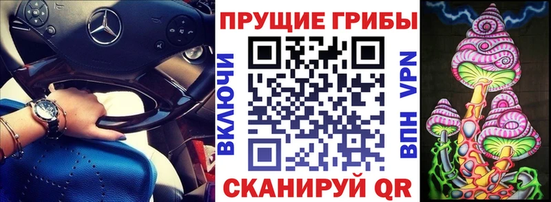 Псилоцибиновые грибы прущие грибы  Выкса 